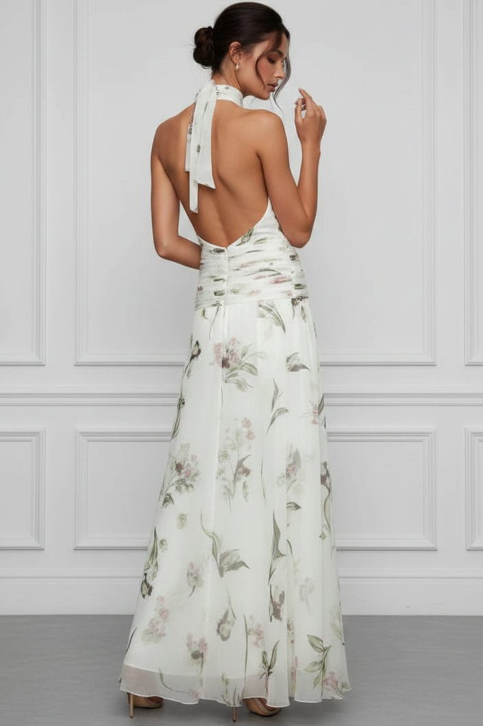 Halter-Neck Sleeveless Print-Chiffon Pleated Floor-Length A-Line Evening Dress