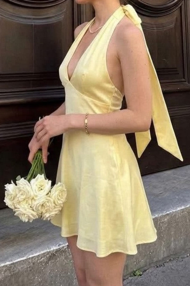 Backless Satin Halter Neck Mini Dress