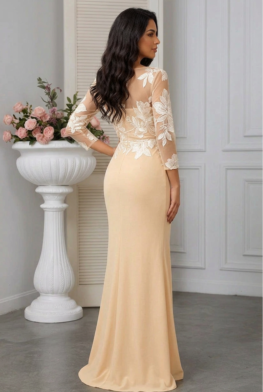 Floral Applique Illusion Long Sleeve Evening Gown