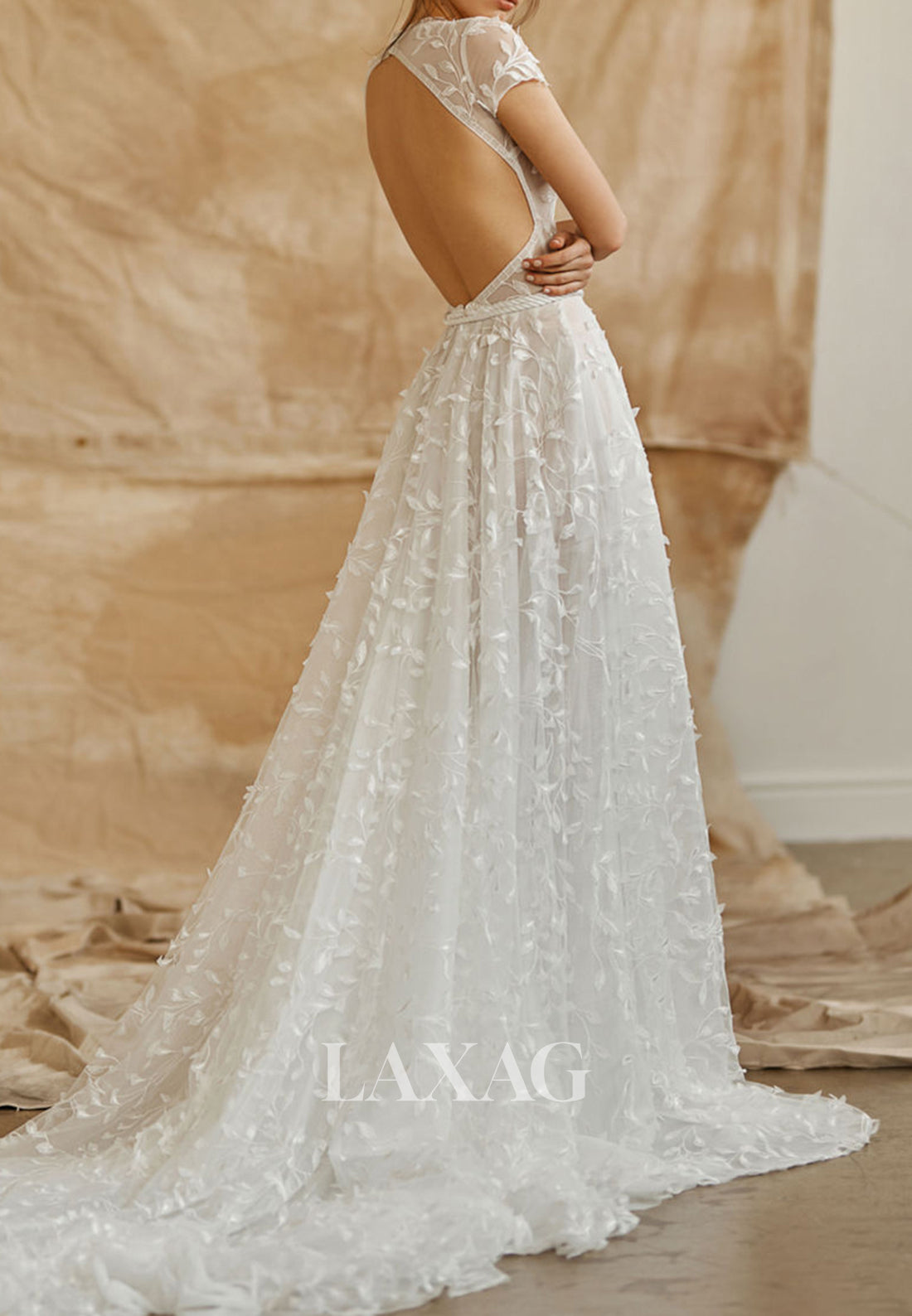 Deep V-Neck Cap-Sleeves Applique Tulle Pleated Sheer A-Line Wedding Dress with Train