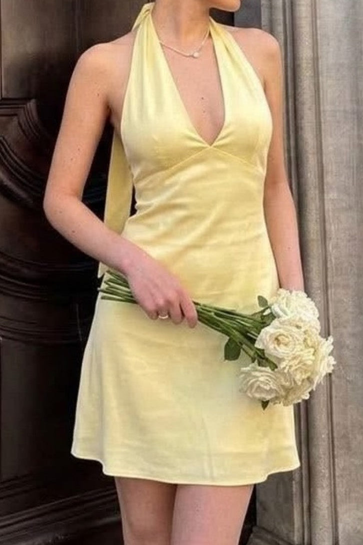 Backless Satin Halter Neck Mini Dress