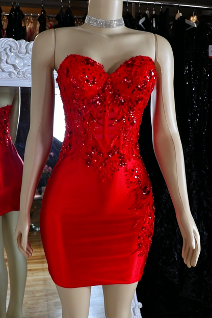 Strapless Corset Bodycon Mini Dress