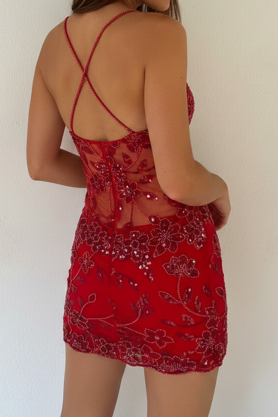 Sequin Beaded Illusion Bodycon Mini Dress