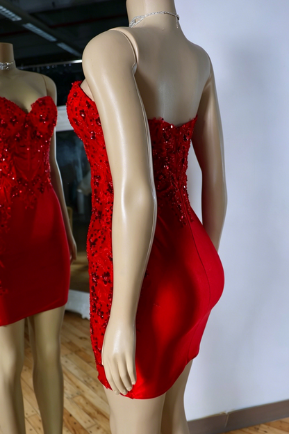 Strapless Corset Bodycon Mini Dress
