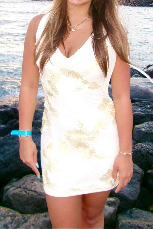 Embroidered Lace V-Neck Mini Dress with Shoulder Bows