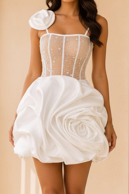 Corset Mini Dress with Floral Rose Applique