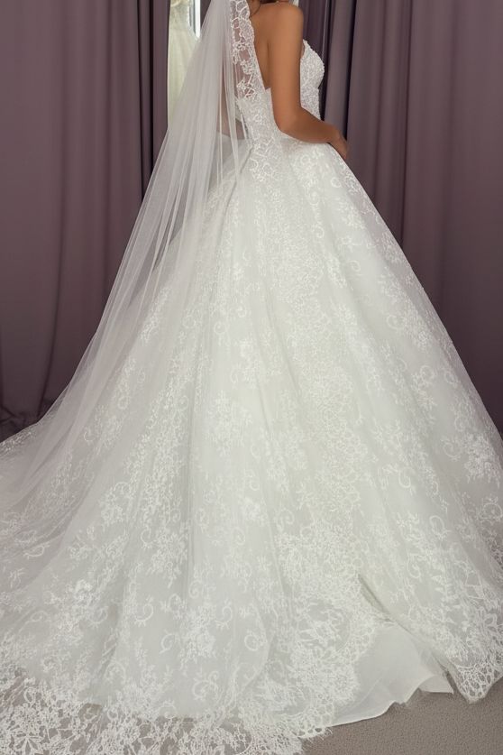 Corset Ball Gown Wedding Dress with Floral Lace Appliques