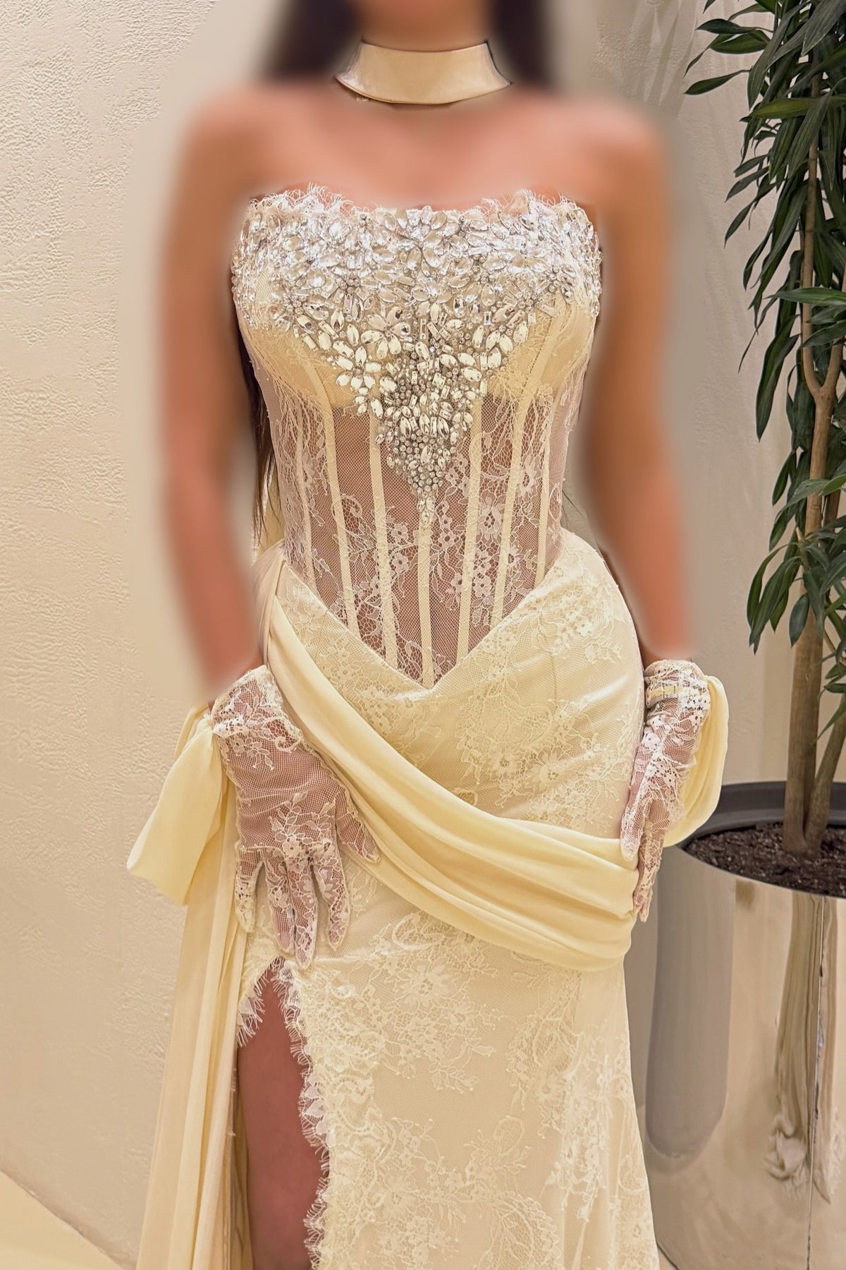 Corset Lace Evening Gown with Crystal Bodice