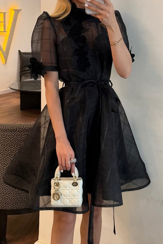 Floral Applique High Neck Organza Mini Dress