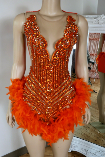 Rhinestone Embellished Feather Mini Dress