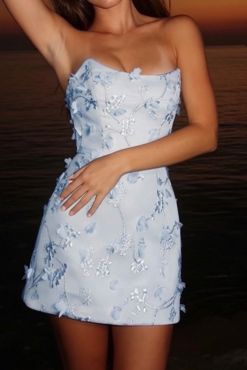 Strapless 3D Floral Embroidered Mini Dress