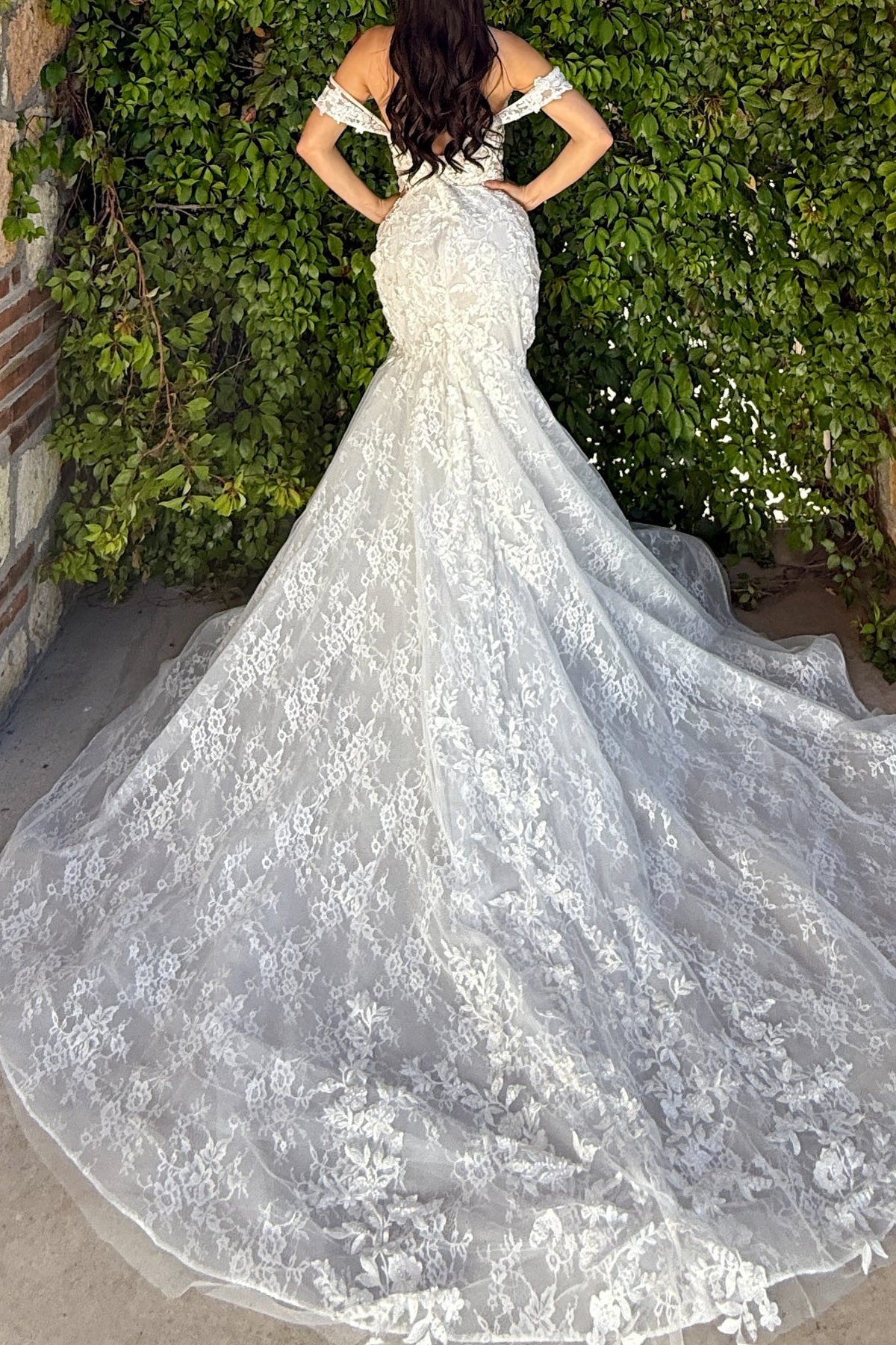 Off-the-Shoulder Lace Mermaid Wedding Dress