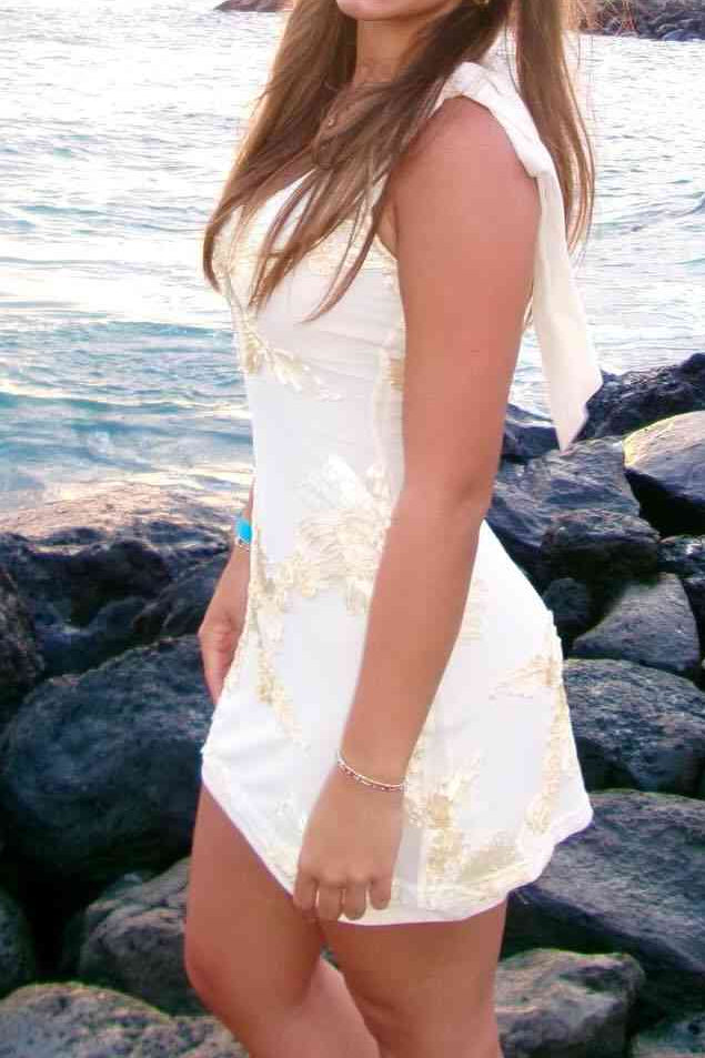 Embroidered Lace V-Neck Mini Dress with Shoulder Bows