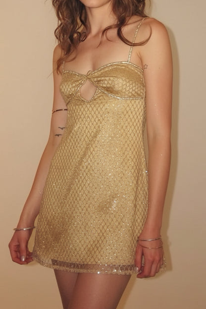 Glitter Mesh Tie Back Mini Slip Dress